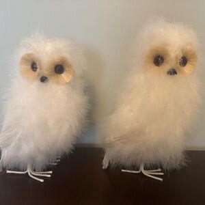 2 Snowy Owls